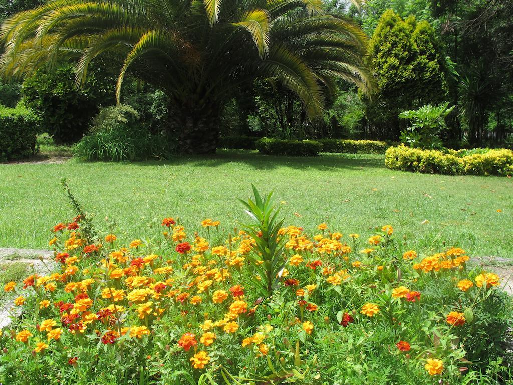 No Meio Da Natureza - Turismo No Espaco Rural Vila Nova de Famalicao Ngoại thất bức ảnh