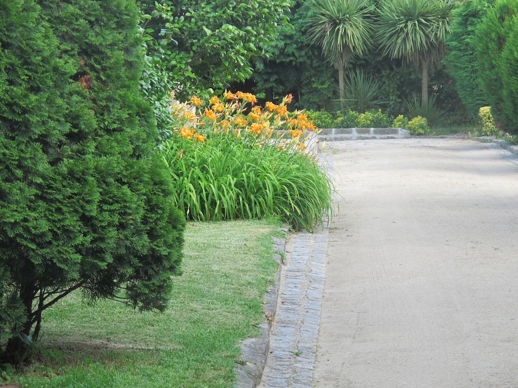 No Meio Da Natureza - Turismo No Espaco Rural Vila Nova de Famalicao Ngoại thất bức ảnh