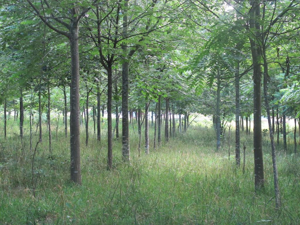 No Meio Da Natureza - Turismo No Espaco Rural Vila Nova de Famalicao Ngoại thất bức ảnh