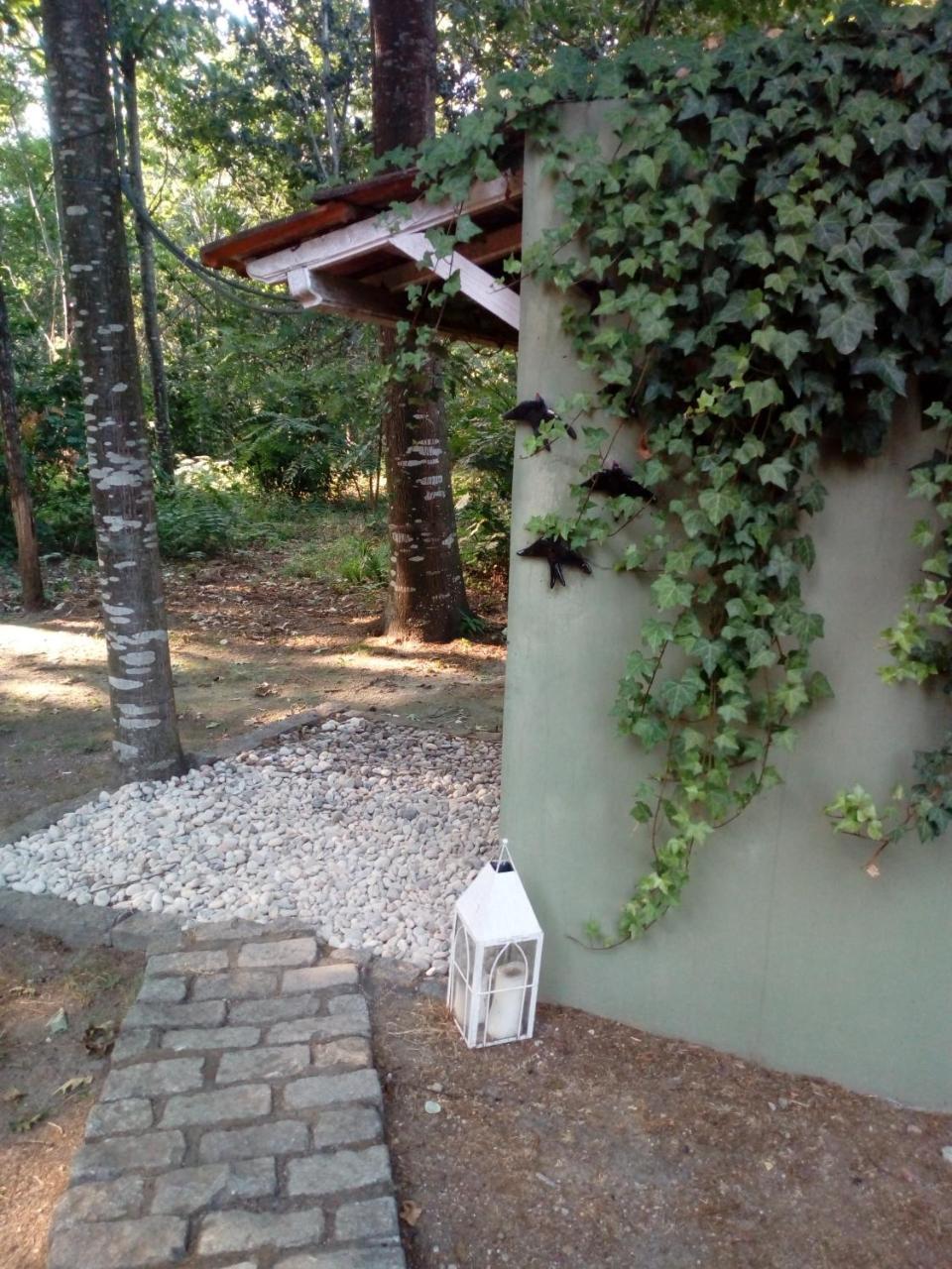 No Meio Da Natureza - Turismo No Espaco Rural Vila Nova de Famalicao Ngoại thất bức ảnh